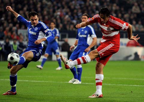 职业选手的 职业选手的